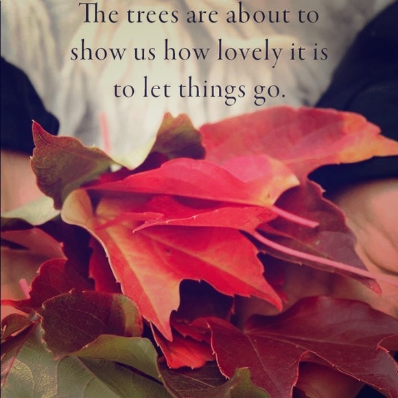 Meet your Posher, Kari - Picture 1 of 2